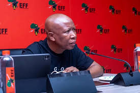 Eff Malema Defamation Claim Mchunu : ce qu'il faut savoir — image 3