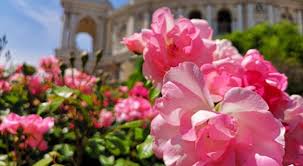 Odesa Online - News update