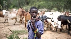 Image result for images for fulani herdsmen