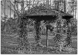 Image result for satellite dish gazebo