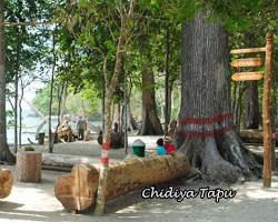 Image of Chidiyatapu Beach, Andaman