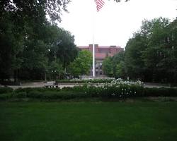 Image of University of Michigan Diag