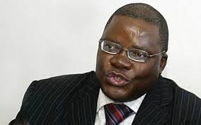 Zimbabwe will invest heavily in fibre optic infrastructure in 2013, to boost internet connectivity across the country, Finance Minister Tendai Biti said ... - tendai_biti_1