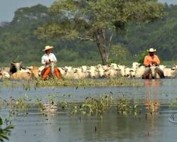 camping pantanal