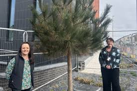 Greener Towns, Cleaner Waters: UK Initiatives Tackle Runoff and Sewage Spills