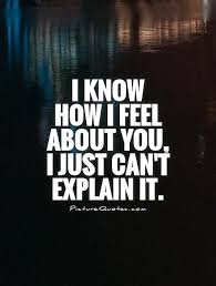 I know how I feel about you, I just can&#39;t explain it via Relatably.com