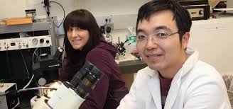 Yuan Yuan (Kevin) Liu, a Ph.D. student in the biology program, is the recipient of the Lawrence and Marie Shore Life Sciences ... - shore-fellowship_11