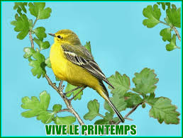 Résultat de recherche d'images pour "gif animaux printemps"