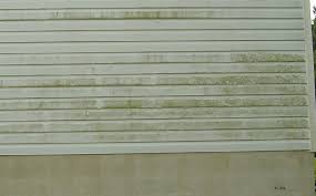 Image result for black mold on exterior house