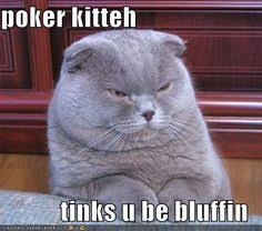 gambling quotes funny - Google Search | Gambling Gal | Pinterest ... via Relatably.com