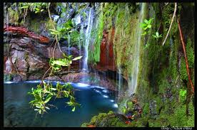 Resultado de imagem para jardins do paraiso