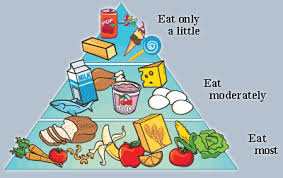 Resultado de imagen de FOOD PYRAMID FOR KIDS