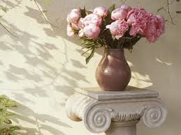         ,     ,   images?q=tbn:ANd9GcT