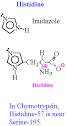 Imidazole of histidine