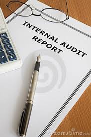 Slikovni rezultat za internal audit report