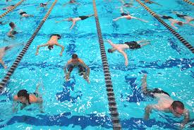Image result for swimming