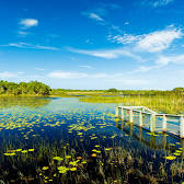 Port St. Lucie