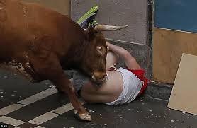 Image result for San fermin 2015 ago