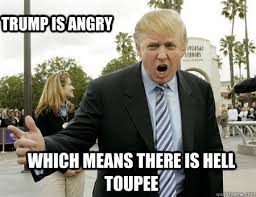 Image result for funny pro-donald trump cartoons
