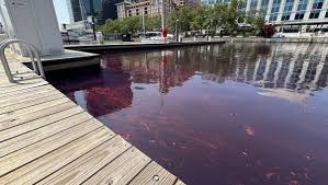 Johns Hopkins Fuel Spill Cleanup Underway in Baltimore Harbor