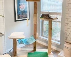 DIY cat towerの画像