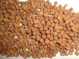 Image result for chana