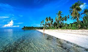 Image result for beautiful indonesian islands