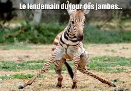 Résultat de recherche d'images pour "le lendemain"