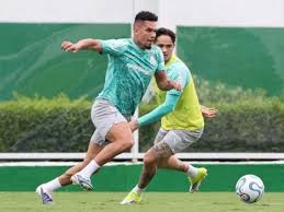 Paulinho volta a ser relacionado no Palmeiras após quase 10 meses