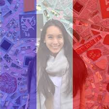 Image result for facebook french flag