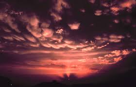 Image result for Mammatus cloud