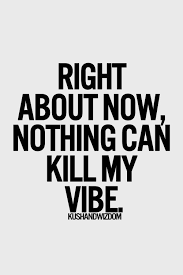 Absolutely nothing can kill my vibe. I&#39;m in a great place in my ... via Relatably.com