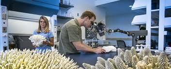 Image result for images of medical researches