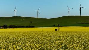 images?q=tbn:ANd9GcTJ_A5pGUkJn0Zrq0BkGrapQcWIxfSnJmlQOnhrKvHX6iA8NYLKfg