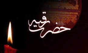 نتیجه تصویری برای تصویر کتاب قاصدک کربلا