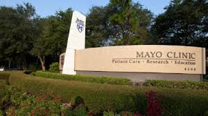 Image result for mayo now logo