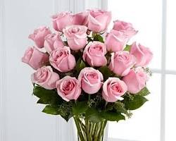 Pink roses for Valentine's Day