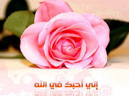 دار