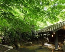 黒川温泉 旅館 山河 露天風呂の画像