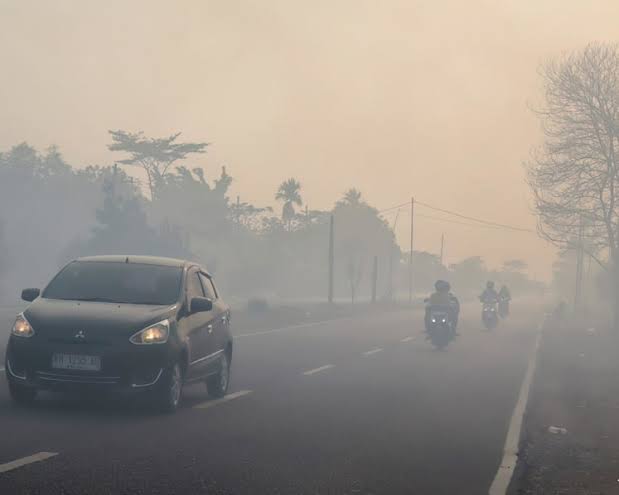Indonesian police arrest 72 suspected of starting forest fires as Kalimantan haze spreads; President Prabowo visits Central Kalimantan, vows to hold companies accountable