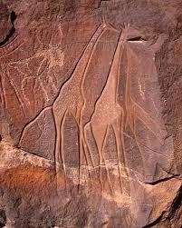 Mosaic of the tigers roman mosaic Archaeological Museum of Cherchell, Algeria. Chariot pulled by big cats, likely tigers. Source Flickr pH๏τo, Yves Jalabert from Région parisienne, France.