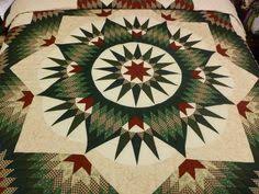 Résultat de recherche d'images pour "google images close ups of lone star quilts"