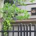 Koch-backed group cancels Union Club reservation during ...
