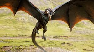 Image result for wyvern