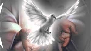 Resultado de imagen de espiritu santo ven