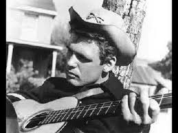 Image result for rebel rouser duane eddy 45