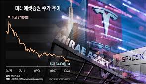 '고래' 스페이스X-테슬라 합병 추진에 부담 커진 '새우' 미래에셋