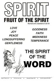 Image result for qualities of the law by God