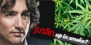 Resultado de imagen de Legalization