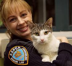 Annemarie Lucas, ASCPA cop and TV star of &#39;Animal Precinct,&#39; forced off job, eyed in suit - NY Daily News - alg-aspca-cat-jpg